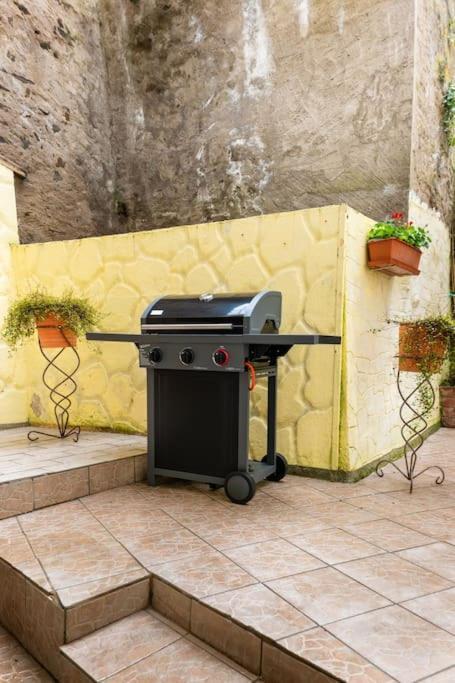 Apartament E"Stein 3 Zkb Terrasse Koblencja Zewnętrze zdjęcie