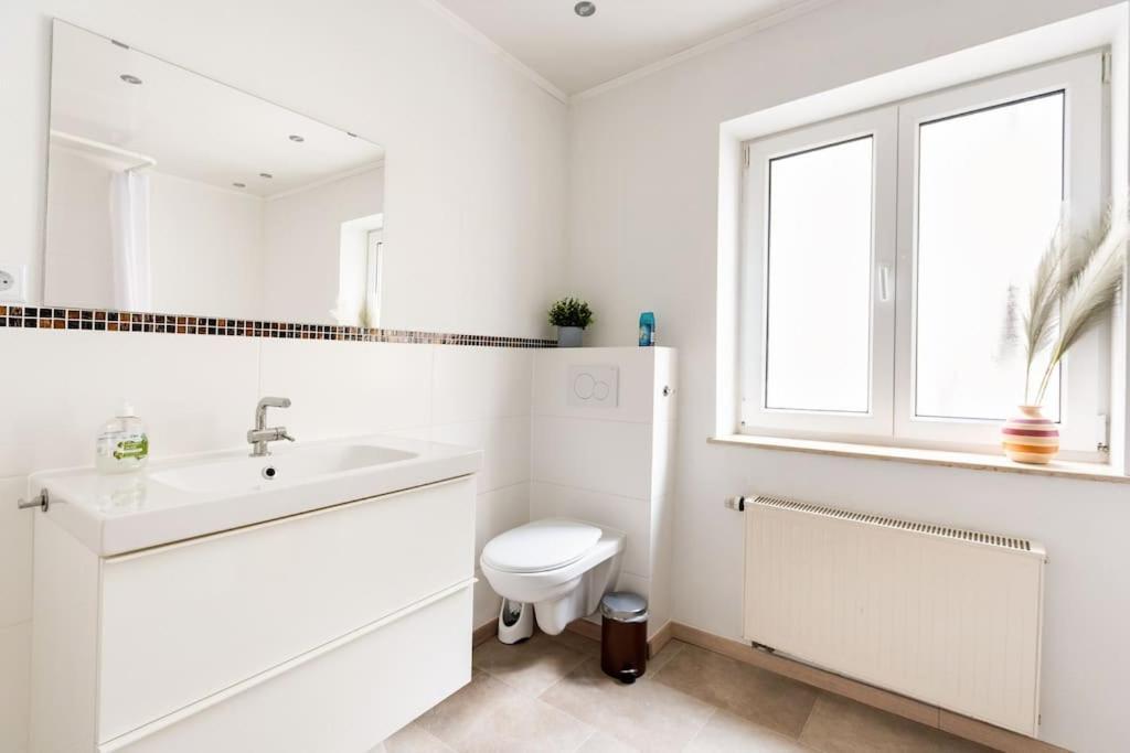 Apartament E"Stein 3 Zkb Terrasse Koblencja Zewnętrze zdjęcie
